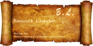 Bencsik Liander névjegykártya